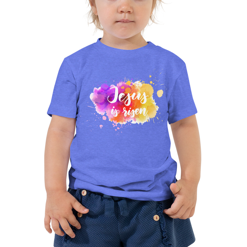 toddler-premium-tee-heather-columbia-blue-5feb18283fb30.jpg