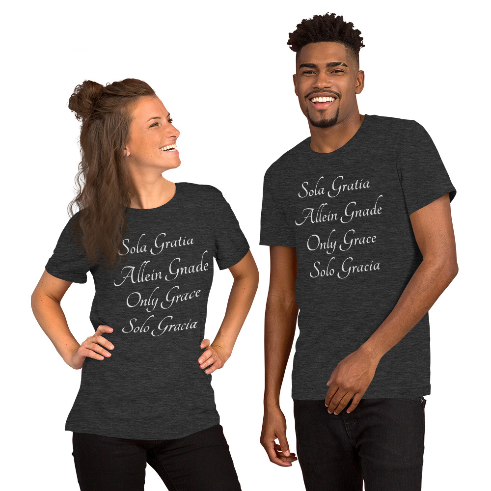 unisex-premium-t-shirt-dark-grey-heather-5fe8cfa96678d.jpg