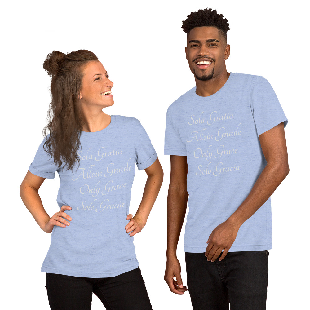 unisex-premium-t-shirt-heather-blue-5fe8cfa96cf44.jpg