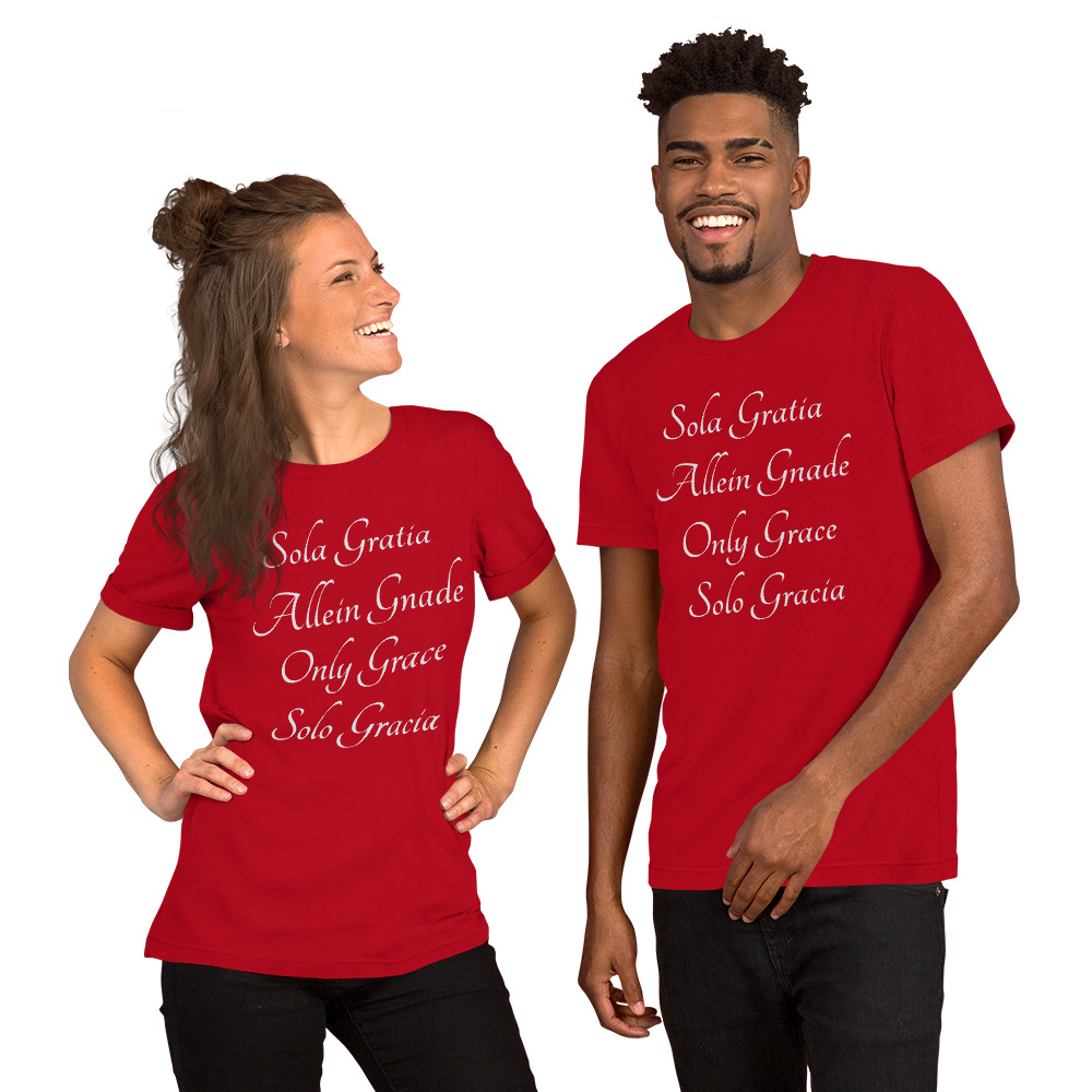 unisex-premium-t-shirt-red-5fe8cfa966f82.jpg